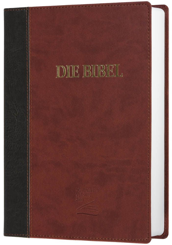 Schlachter 2000 Bibel - Großdruckausgabe (Softcover, grau/braun)